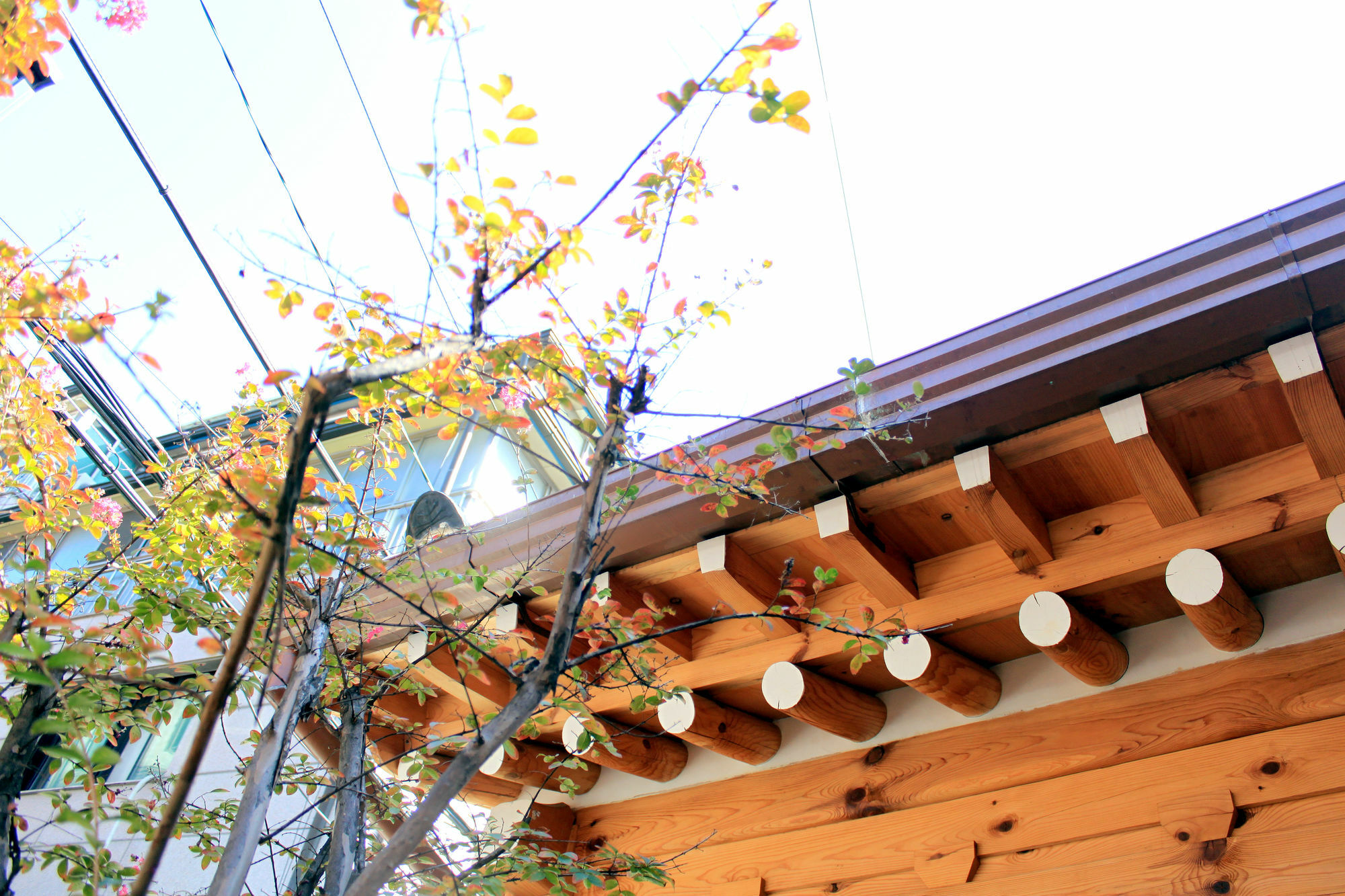 Hanok 24 Guesthouse Gyeongbokgung Σεούλ Εξωτερικό φωτογραφία